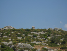 IMG_3703.JPG