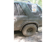 4954652.IMG_7871.jpg