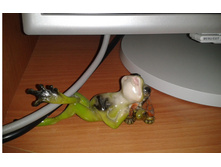 2013-09-03 09.54.03.jpg