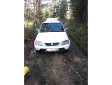 WP_000267.jpg