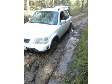WP_000268.jpg