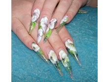 19.12.2009 2:44:01