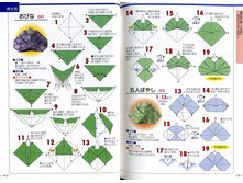 Seibido_Shuppan_Sha_Jitsuyou_Origami (10).jpg