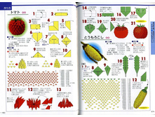 Seibido_Shuppan_Sha_Jitsuyou_Origami (45).jpg