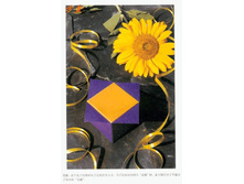 Livro_Origami_V (29).jpg