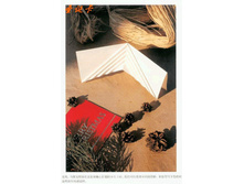 Livro_Origami_V (57).jpg