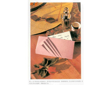 Livro_Origami_V (73).jpg