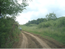 DSC08772.JPG