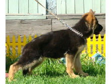 DSC07591.JPG