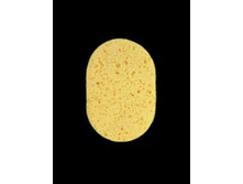 NOCONI.����� ��� �������� ����������� ��������, 1 ��.JPG
