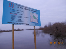 DSCN0822.JPG