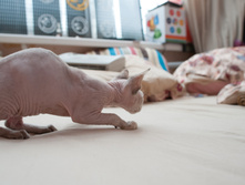 ������-3720.jpg