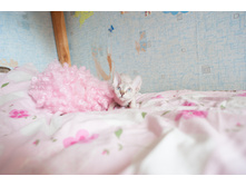 ������-3750.jpg