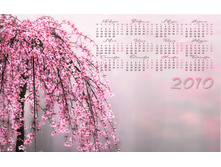 23.12.2009 11:03:51