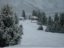 SDC12328.JPG