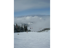 SDC12333.JPG