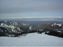 SDC12338.JPG