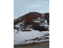 SDC12442.JPG