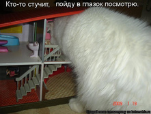 25.12.2009 13:21:09