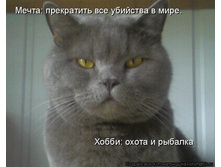 25.12.2009 13:21:44