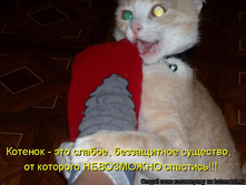 25.12.2009 13:21:59