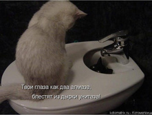 25.12.2009 13:22:35