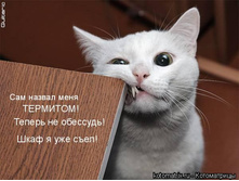 25.12.2009 13:22:39