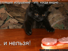 25.12.2009 13:22:41