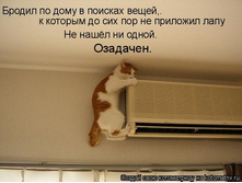 25.12.2009 13:23:47