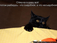 25.12.2009 13:23:56