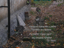 25.12.2009 13:24:10