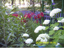 ST837760.JPG