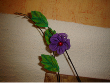 DSC02813.JPG