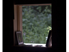 4799874.IMG_3625.jpg