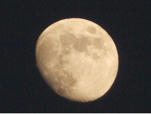 DSCN0767.JPG