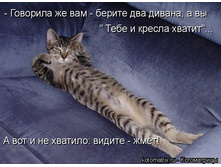 ����.jpg