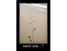 31.12.2009 21:26:39