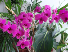DSC06154.JPG