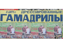 548ff7d42bdc.jpg