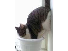02.01.2010 22:48:46