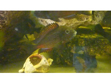 03.01.2010 18:38:36