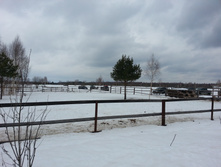 20130317_122801.jpg