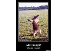 06.07.2012 15:02:26