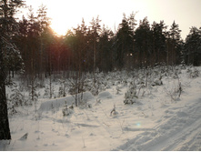 09.01.2010 18:17:55