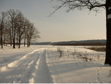 09.01.2010 18:29:17