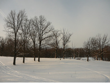 09.01.2010 18:33:30