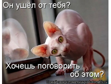 ��� �����