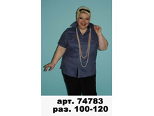74783  .jpg