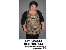 224514  .jpg