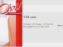 066vm.jpg